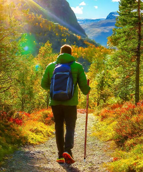 Håndlaget vandrestav i kastanje med kompass